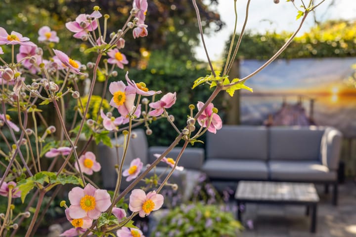 Foto 28 van Kloosterhof 9