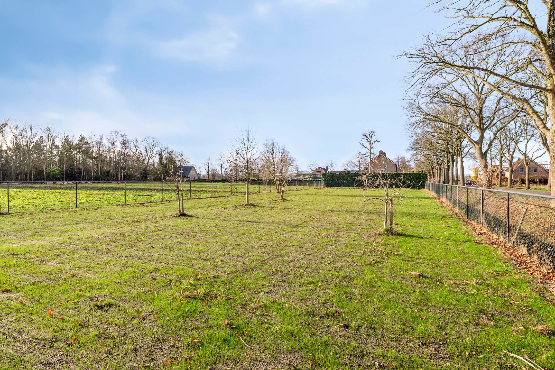 Foto 3 van Hilsebaan 274