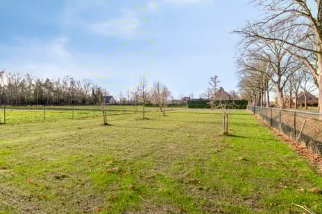 Hilsebaan 274 tertiary image