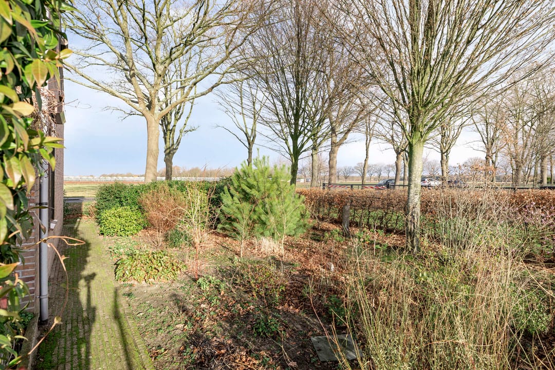 Foto 38 van Hilsebaan 274