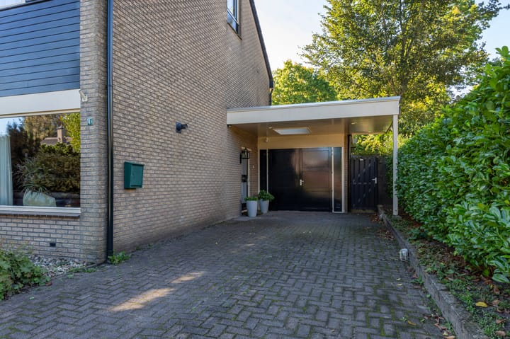 Foto 45 van Achterslagen 4