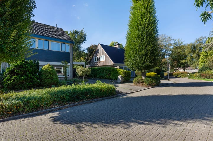 Foto 47 van Achterslagen 4