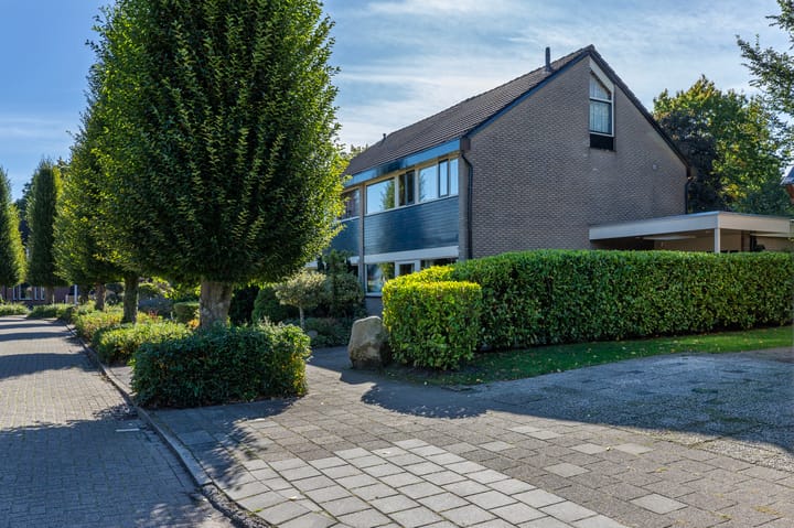 Foto 48 van Achterslagen 4