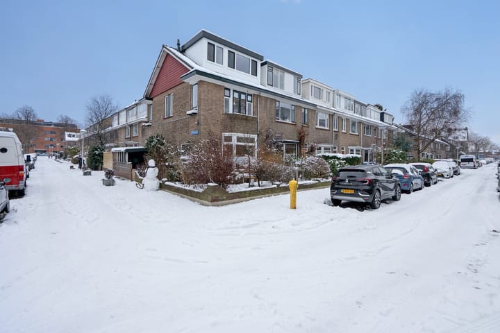 Foto 41 van Ambonstraat 29