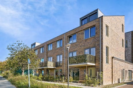 Pladellastraat thumbnail