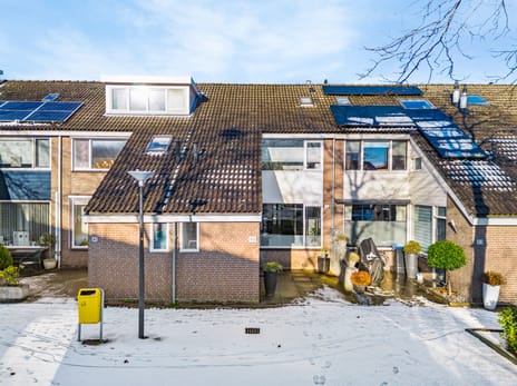 undefined main image