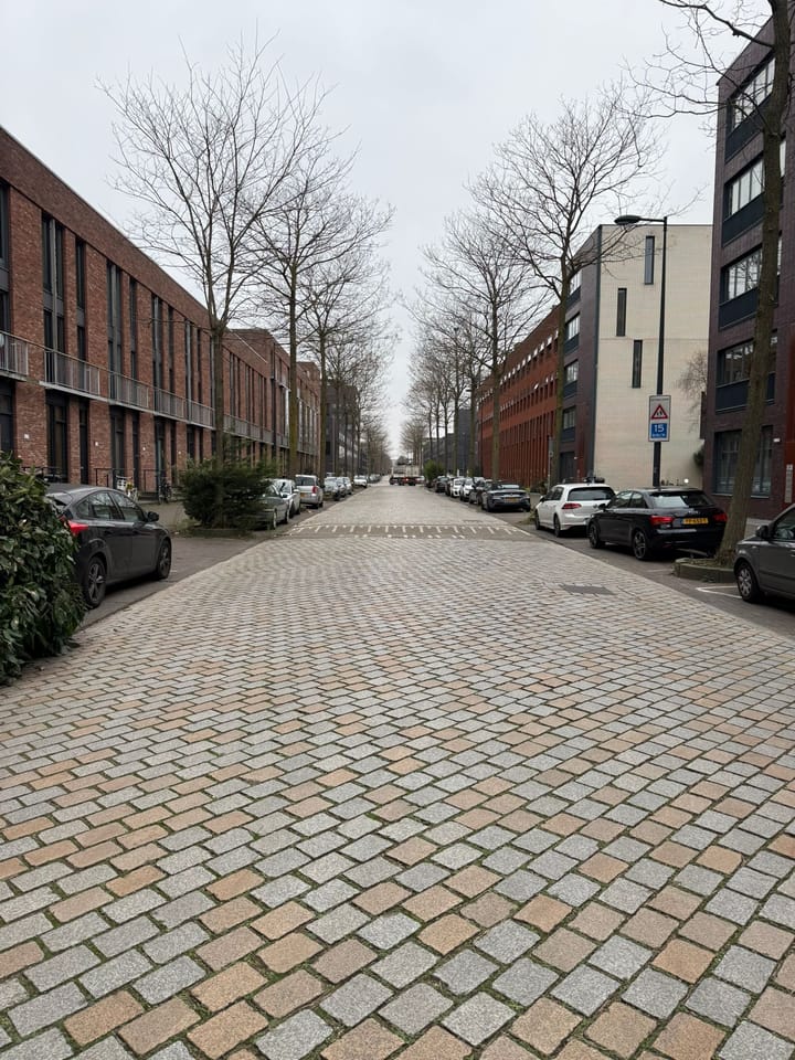 Foto 2 van Maria Austriastraat 957