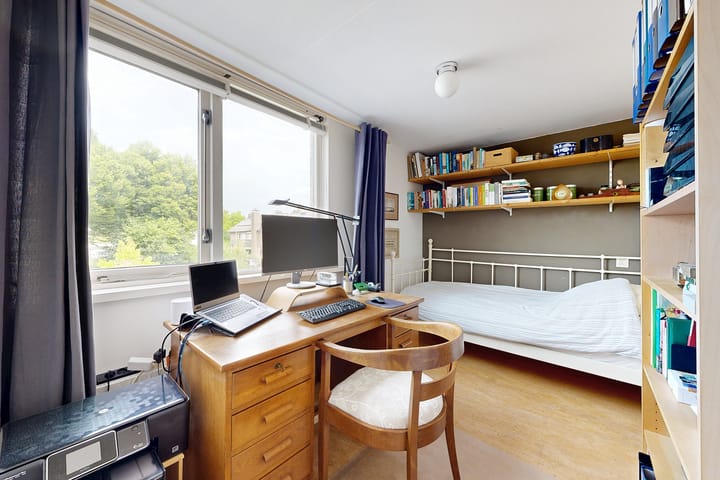 Photo 35 of Zomerland 33