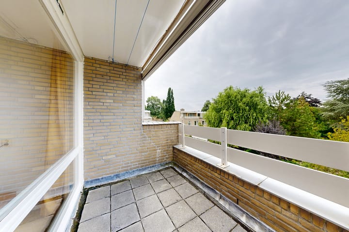 Photo 53 of Zomerland 33