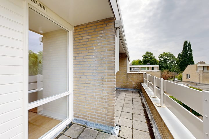 Photo 54 of Zomerland 33