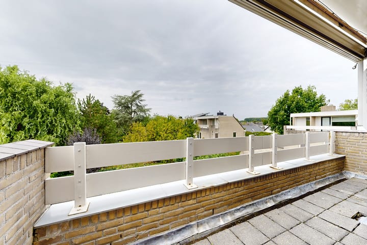 Photo 55 of Zomerland 33