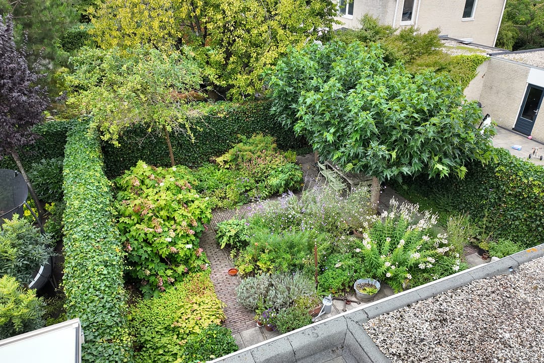 Foto 56 van Zomerland 33