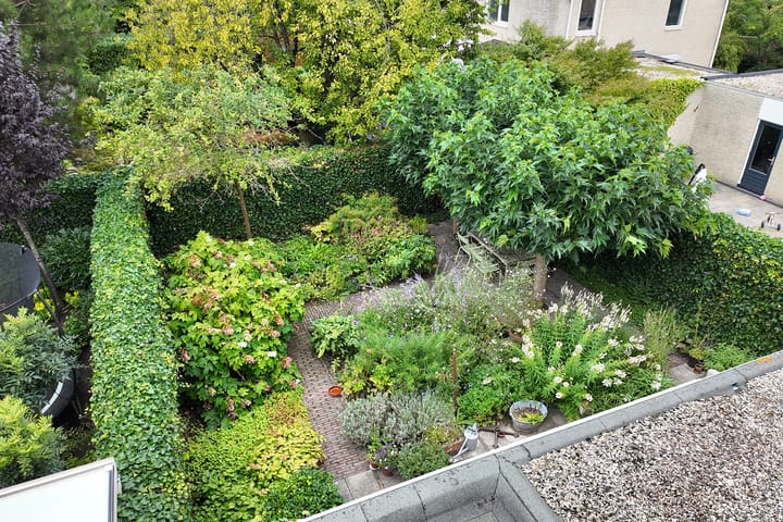 Photo 56 of Zomerland 33