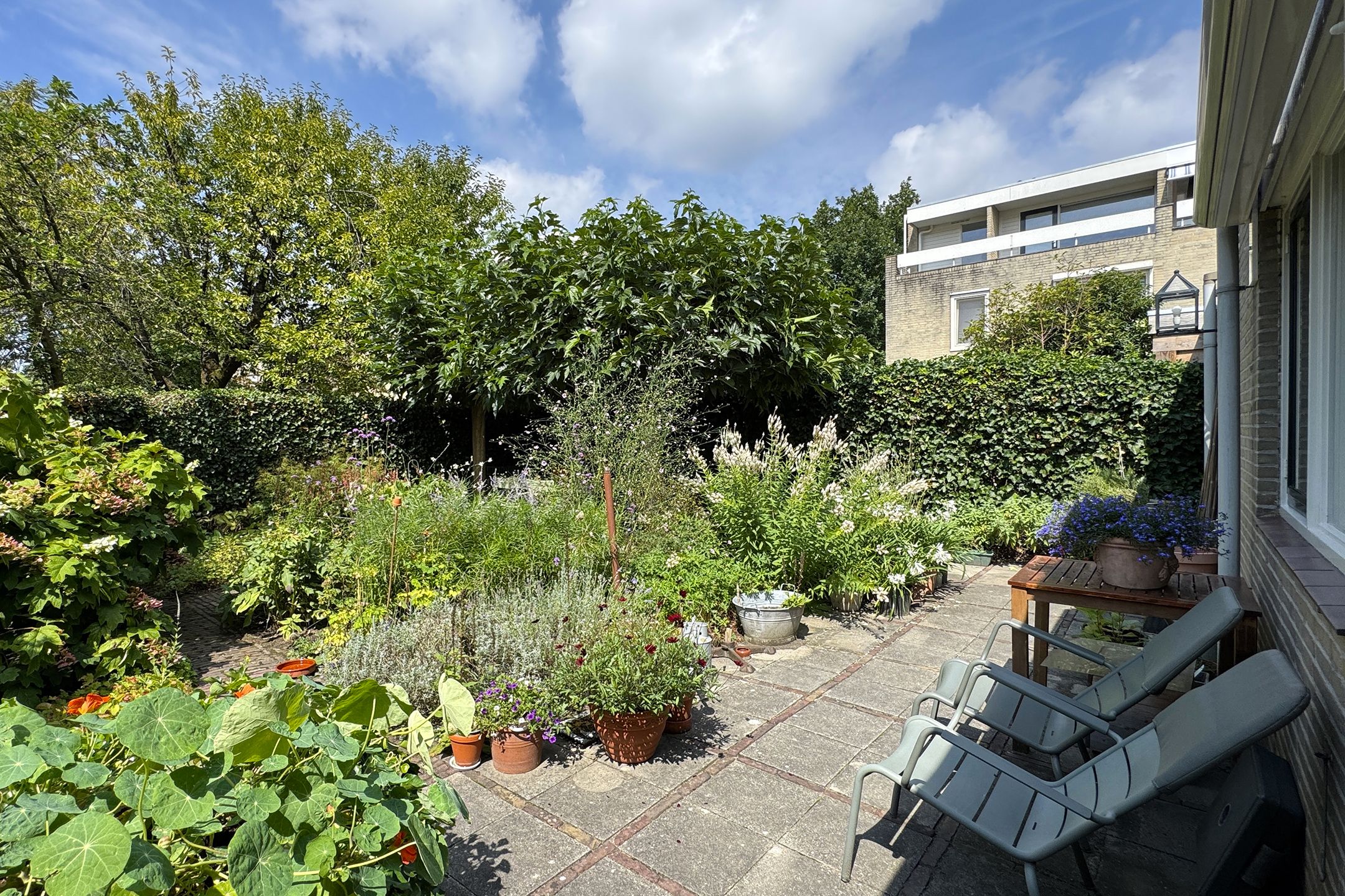 Foto 57 van Zomerland 33