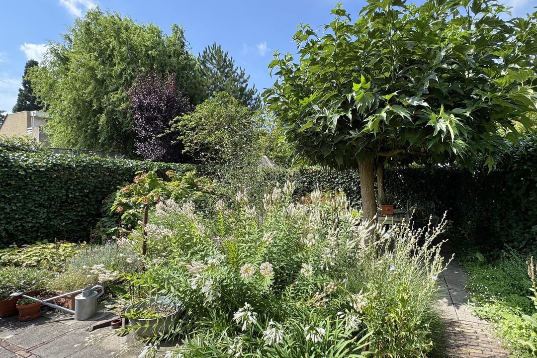 Foto 58 van Zomerland 33