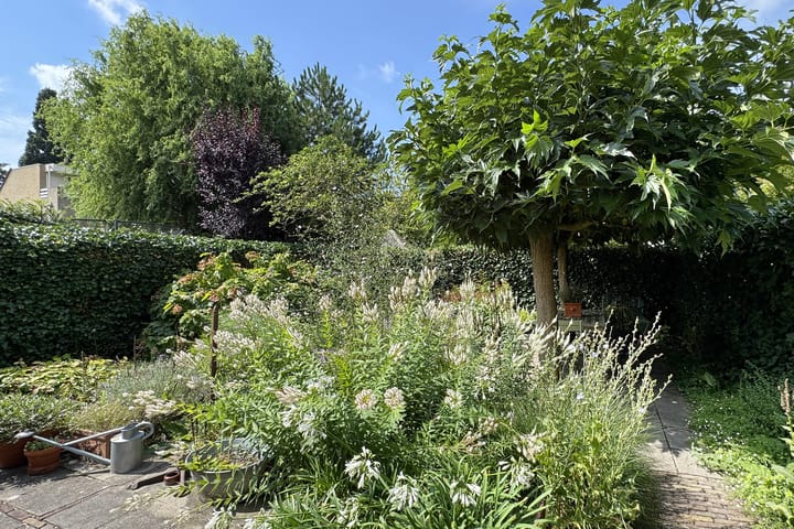 Photo 58 of Zomerland 33