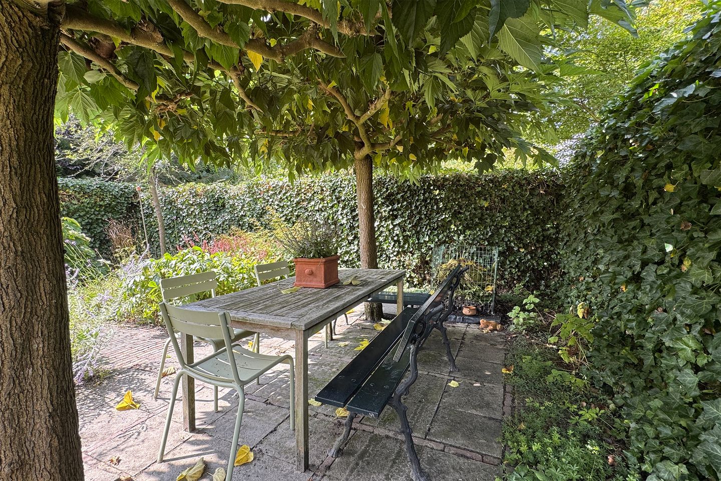 Foto 59 van Zomerland 33