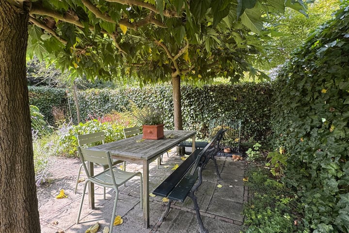 Photo 59 of Zomerland 33