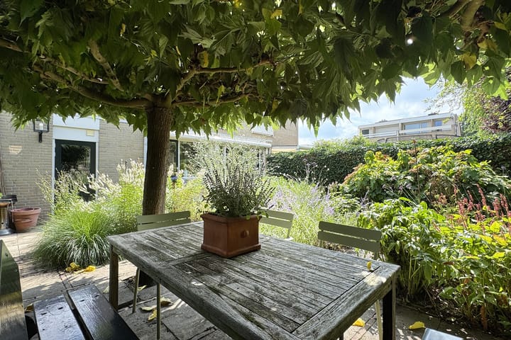 Photo 60 of Zomerland 33