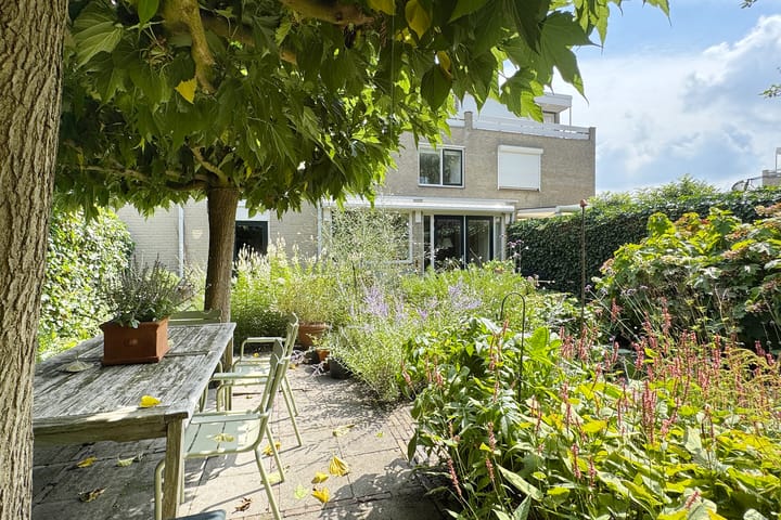 Photo 61 of Zomerland 33