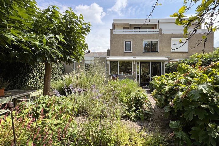 Photo 62 of Zomerland 33