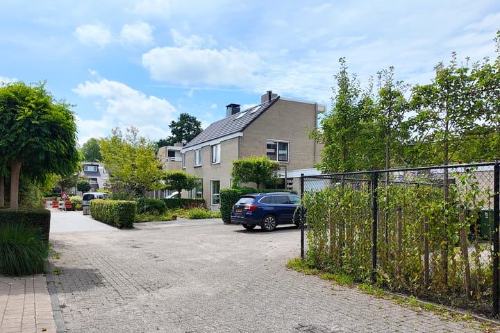 Photo 66 of Zomerland 33