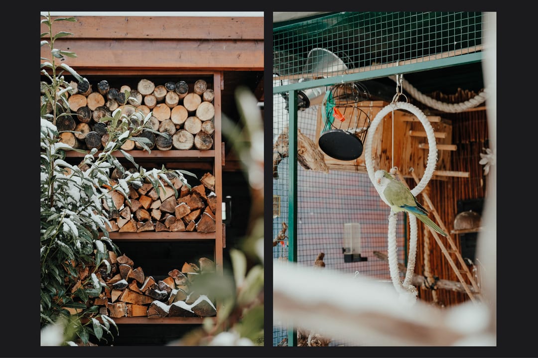 Photo 38 of Polingstraat 21