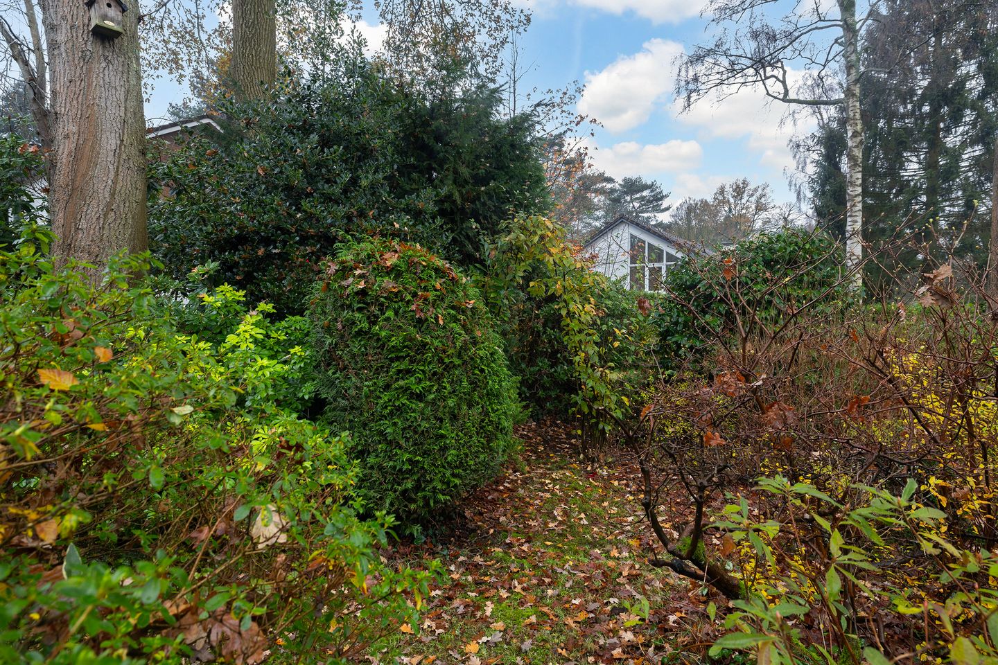 Foto 35 van Anna Maria van Schuurmanlaan 4