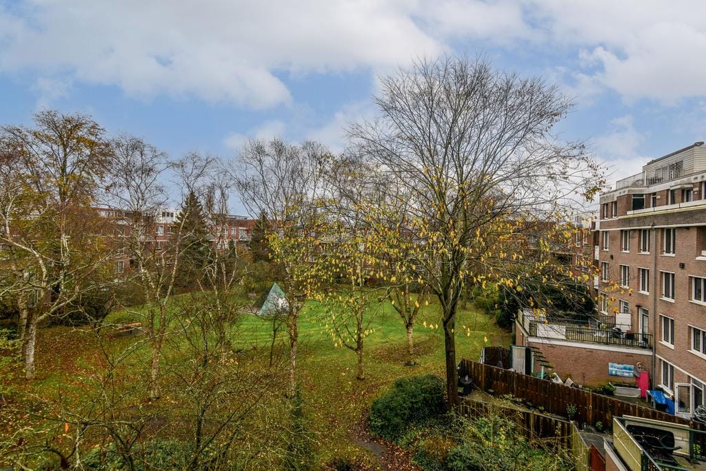 Photo 46 of Molukkenstraat 503