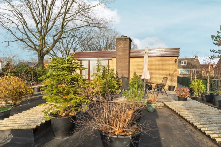 Foto 37 van Muntmeesterlaan 36