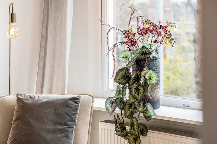 Foto 25 van Bergselaan 131-A