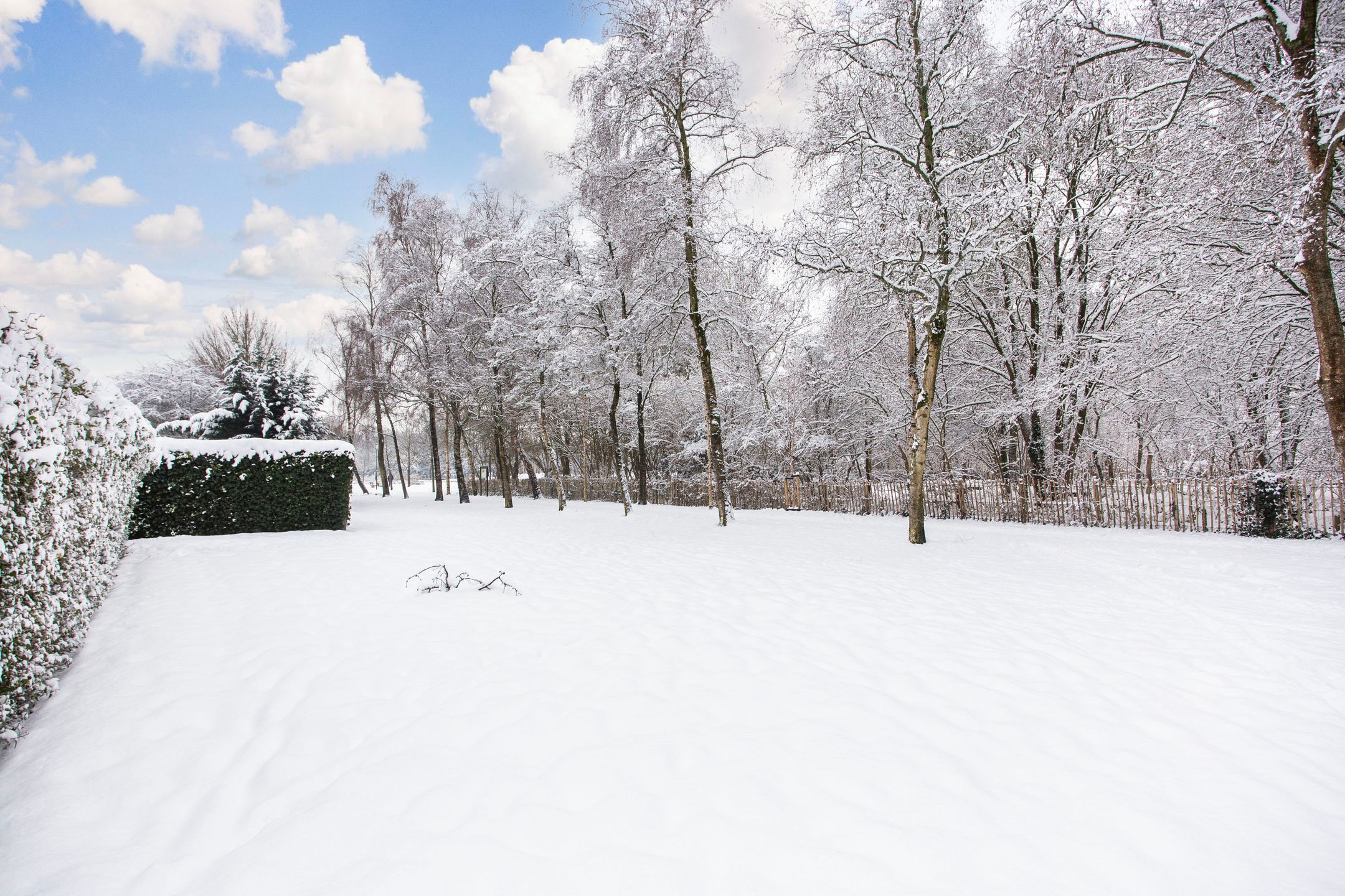 Foto 45 van Reigerskamp 144