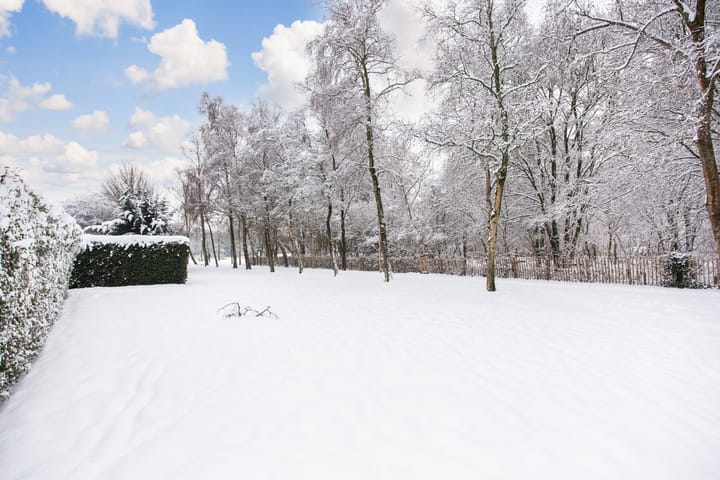 Foto 45 van Reigerskamp 144