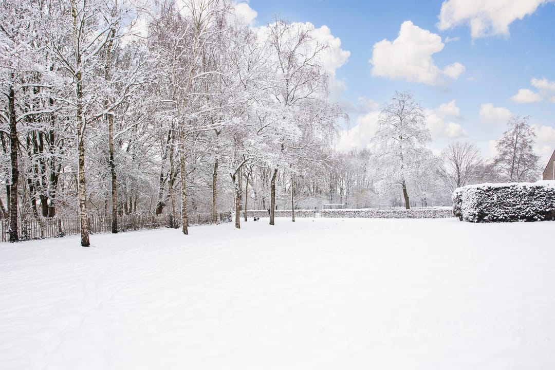 Foto 46 van Reigerskamp 144