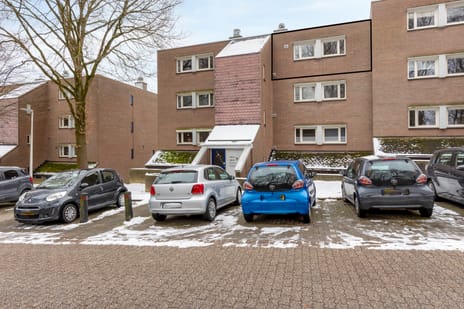 undefined main image