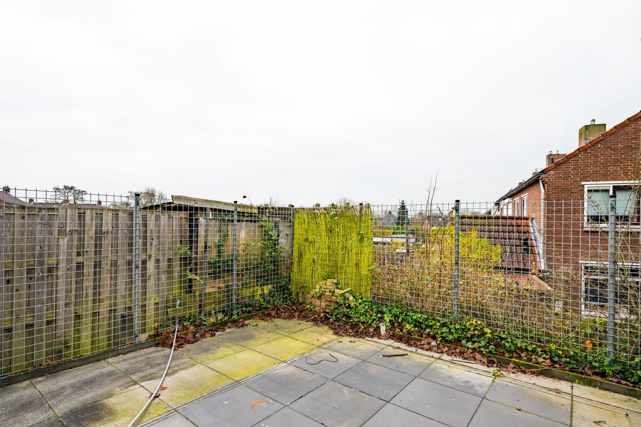 Foto 33 van Warnersstraat 52