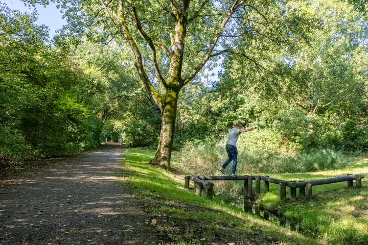 Foto 43 van Spadestraat 67