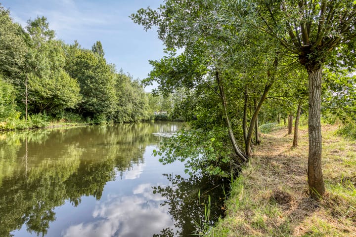 Foto 33 van Sprenglaar 134