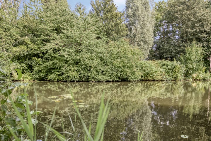 Foto 34 van Sprenglaar 134