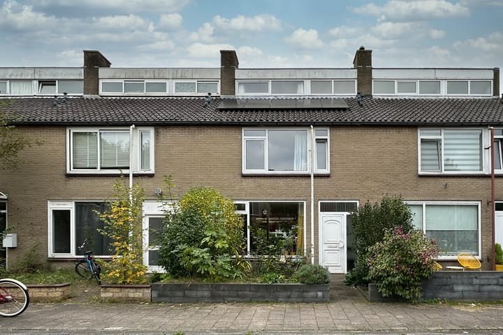 Foto 16 van Maniladreef 14