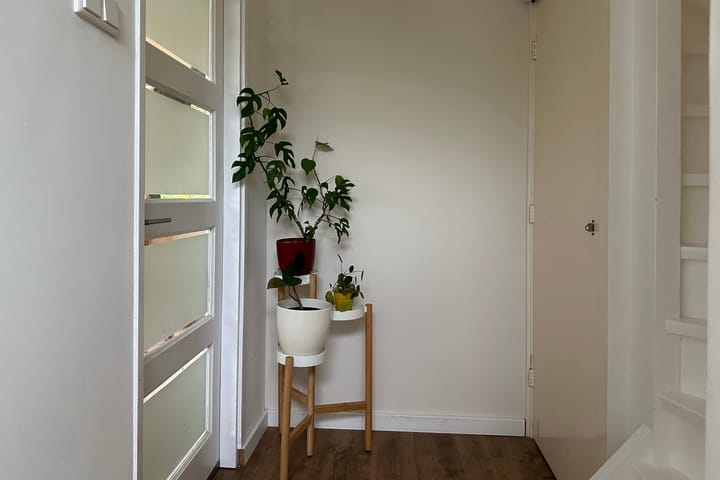 Foto 17 van Maniladreef 14