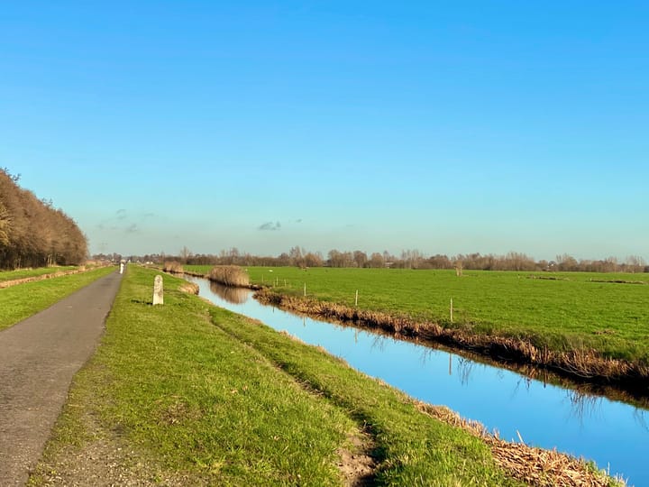 Foto 37 van Maniladreef 14