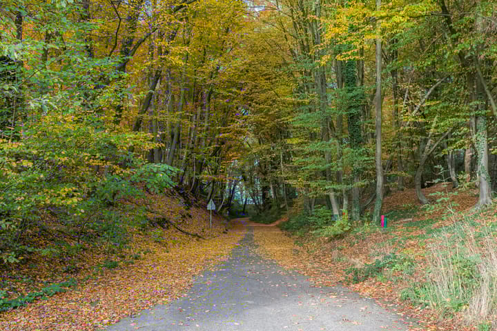 Foto 40 van Lindegracht 6