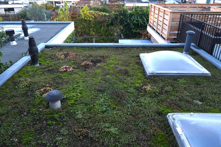 Foto 31 van Tijmstraat 46