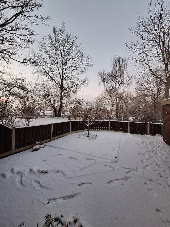 Foto 3 van Vurenlaan 76