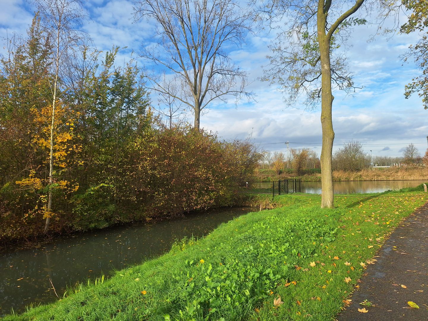 Foto 29 van Vurenlaan 76