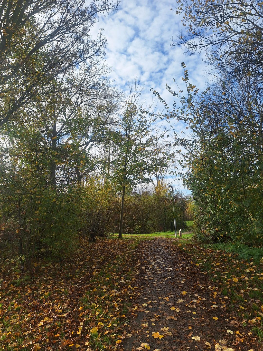 Foto 31 van Vurenlaan 76