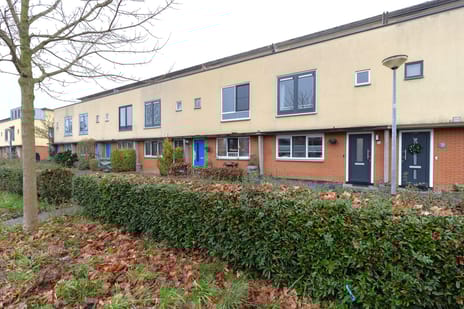 undefined main image