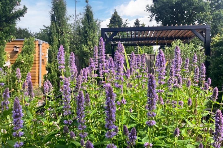 Foto 38 van Eibergseweg 47-B