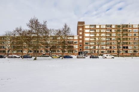 Wenckebachlaan thumbnail